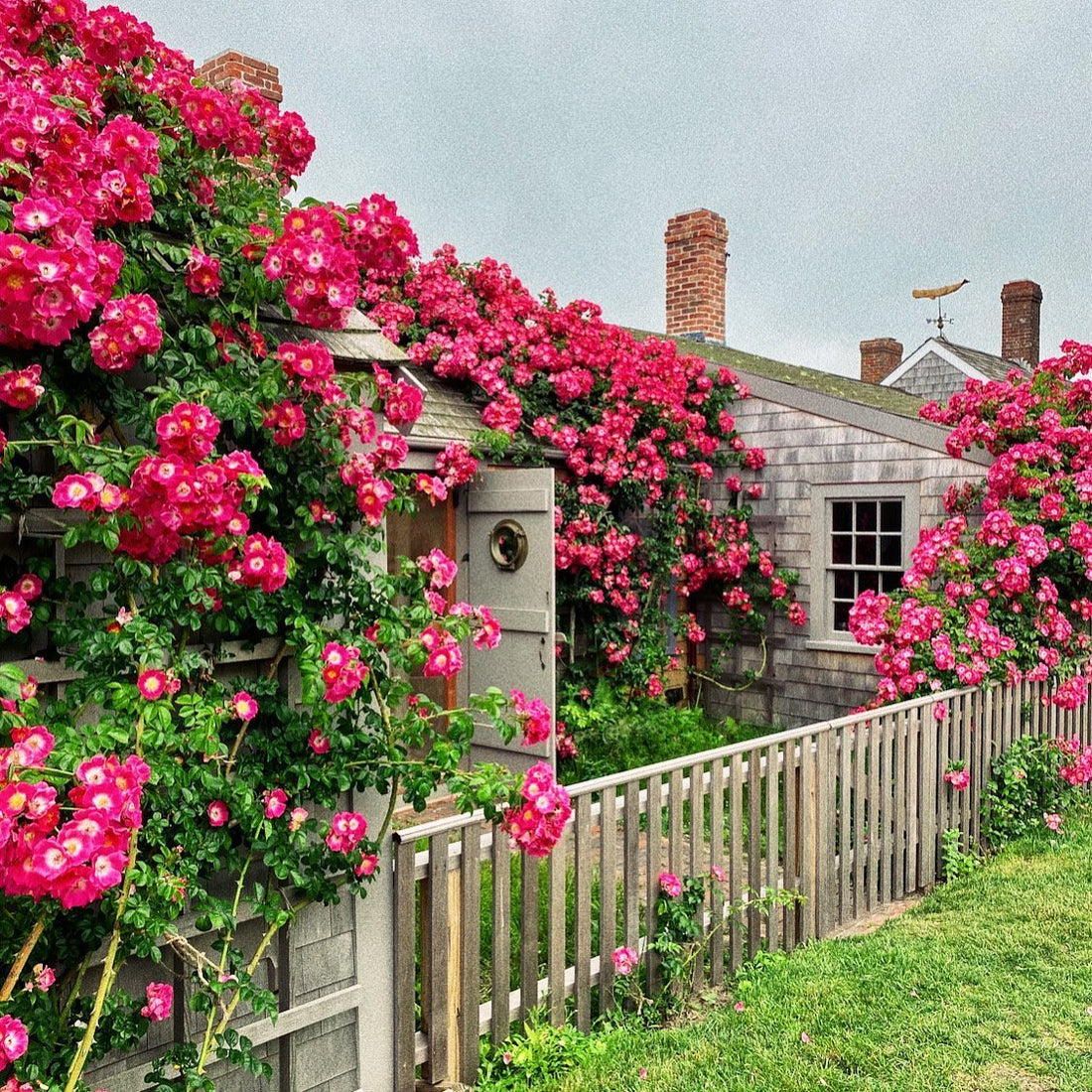 A Nantucket Summer: A Few of Our Favorite Things | Res Ipsa - RES IPSA