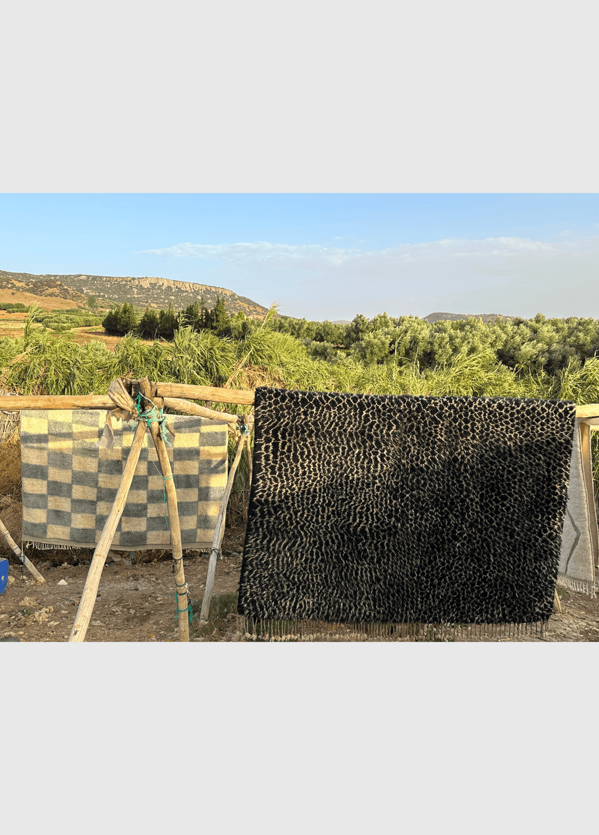 Custom Rug – RES IPSA