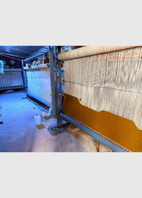 Custom Rug – RES IPSA